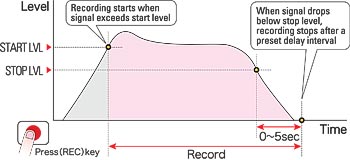 DIAGRAM OF AUTO RECORD